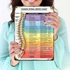 Chakra Spinal Nerve Chart Metal Sign - Educational Chiropractic Wall Decor Tin