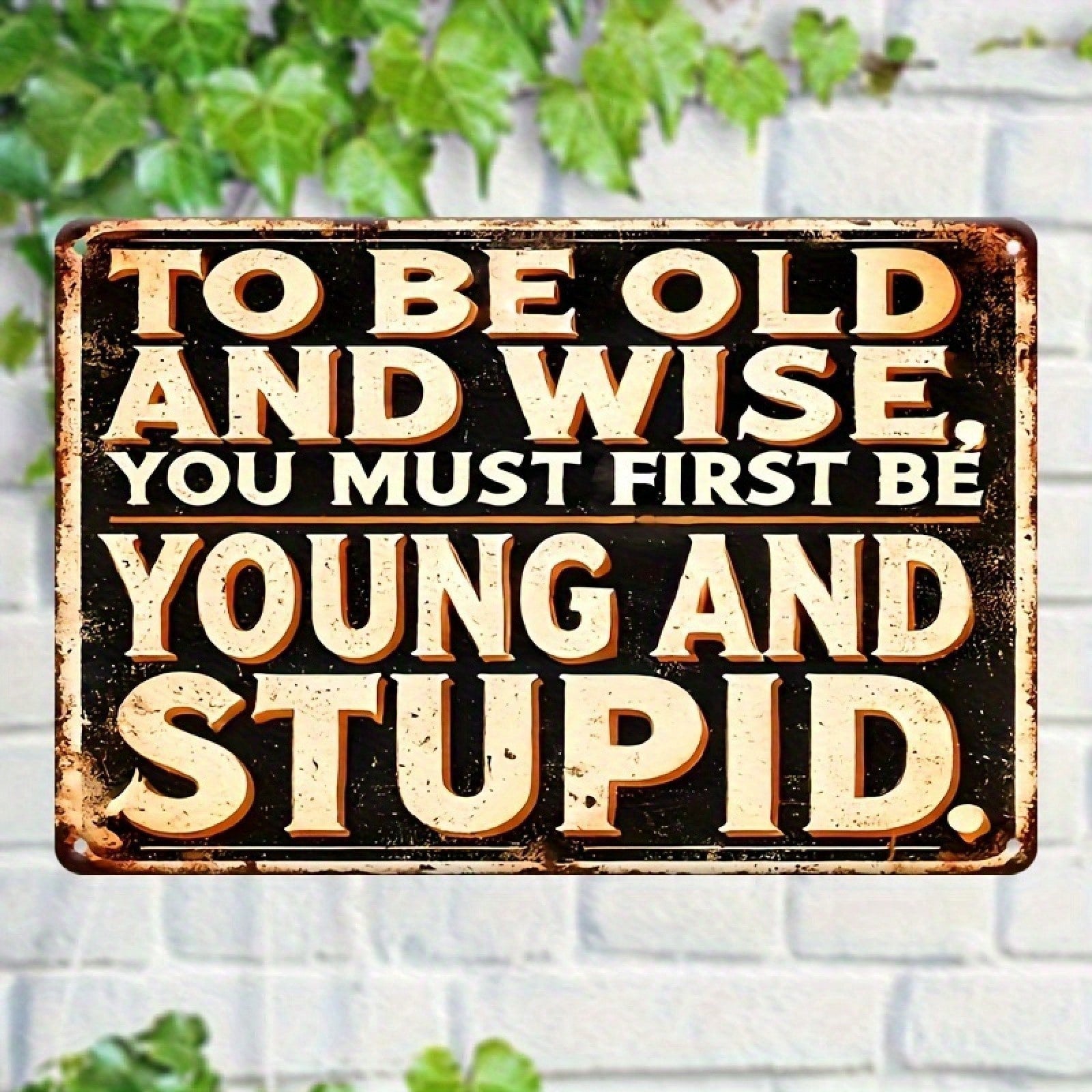 Funny Old and Wise Metal Tin Sign - Retro Humorous Sarcastic Man Cave Art