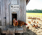 Funny Farm Fresh Butt Nuggets Metal Sign Retro Chicken Egg Farmhouse Wall Decor