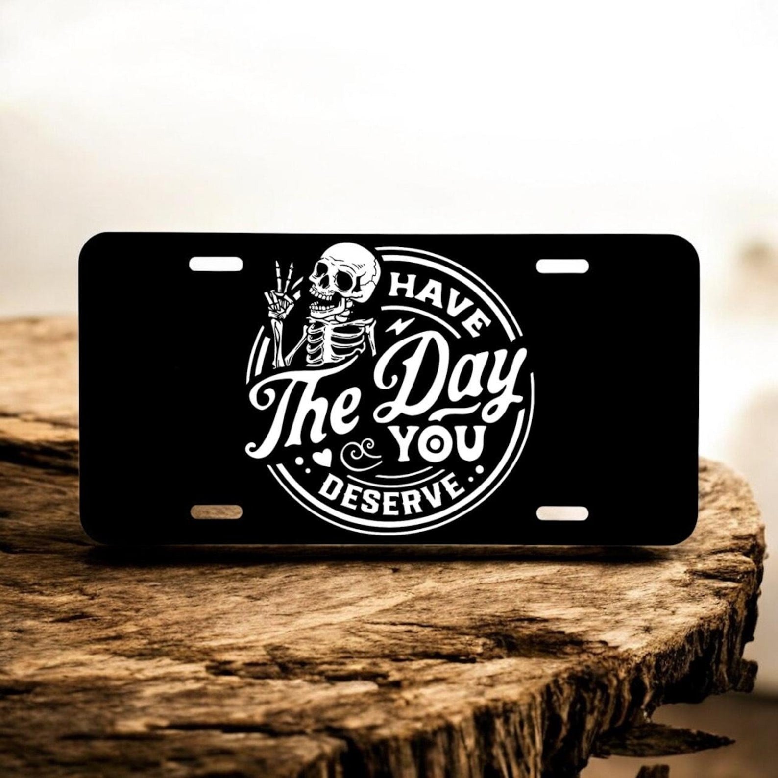 Have the Day You Deserve License Plate Funny Front Car Tag Truck Decor