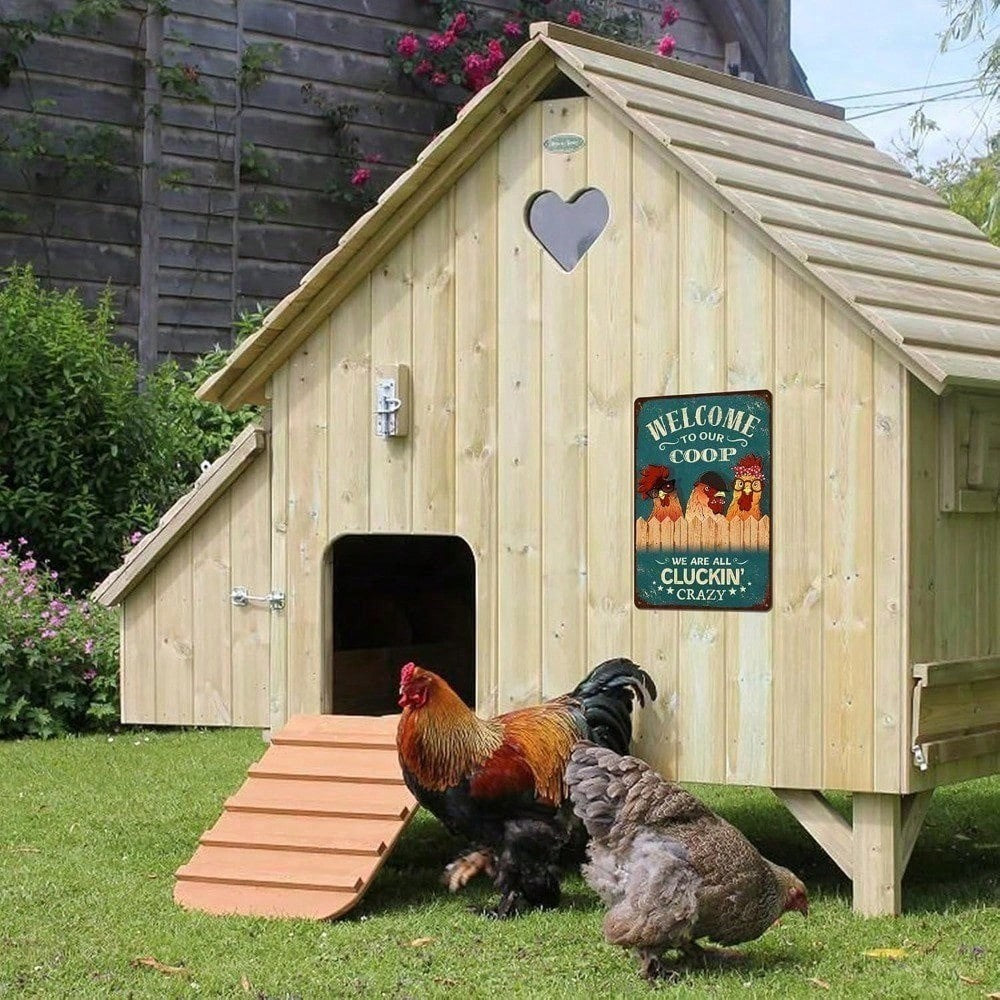 Super Cool Chicken Lady Metal Tin Sign - Funny Farmhouse Kitchen Wall Decor