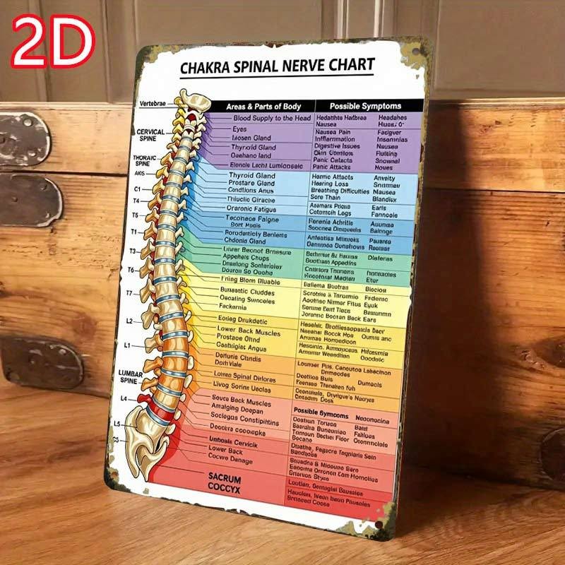 Chakra Spinal Nerve Chart Metal Sign - Educational Chiropractic Wall Decor Tin