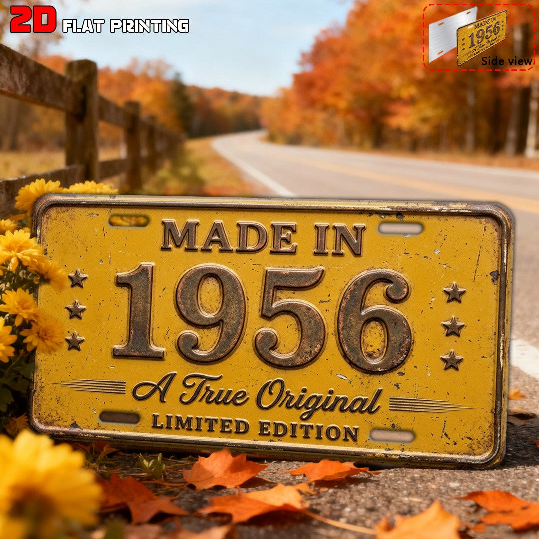 1956 Retro Metal License Plate Sign Rustic Farmhouse Patio Wall Decor 6x12