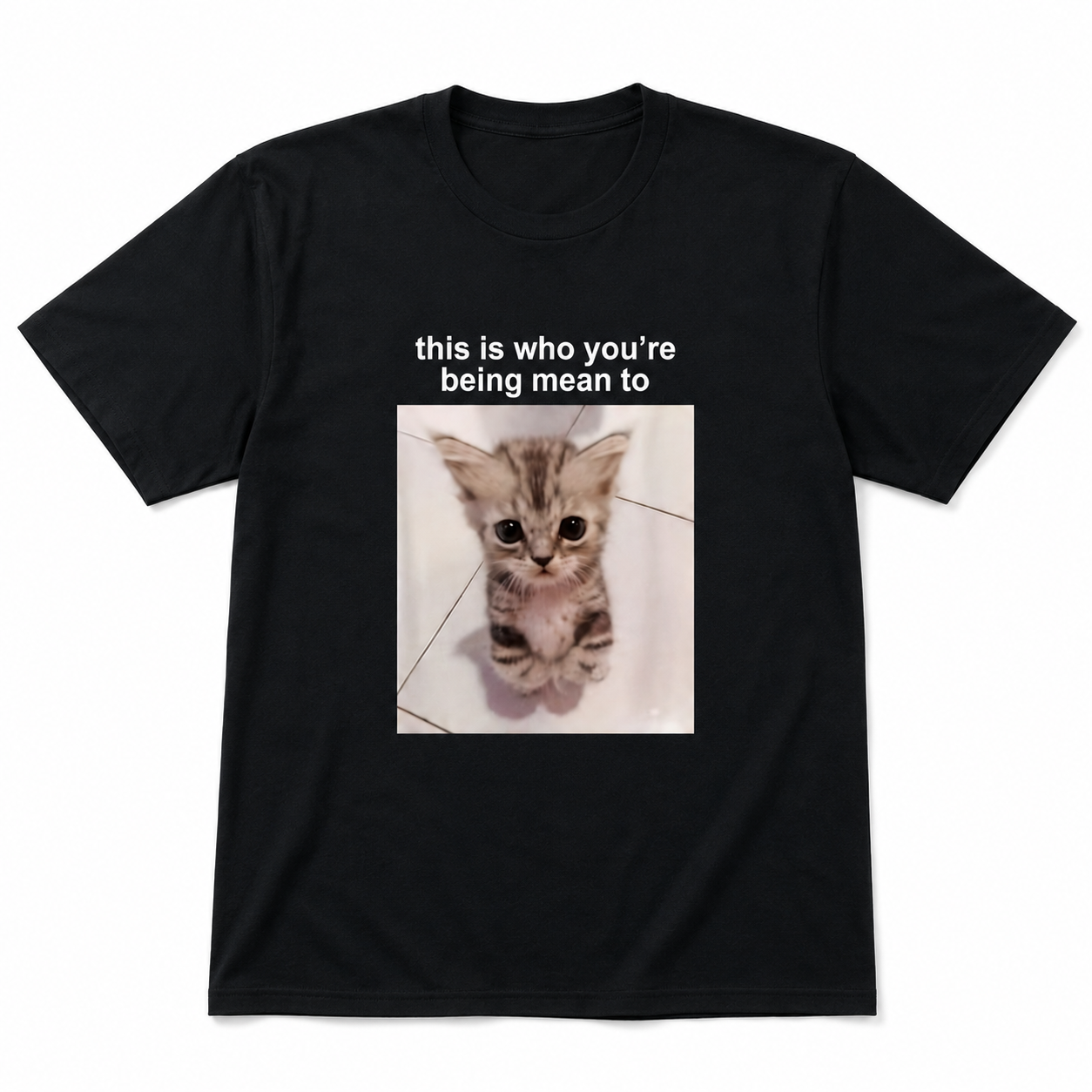 This Is Who You're Sorry For Funny Cat Meme Graphic T-Shirt Cute Tabby Kitten