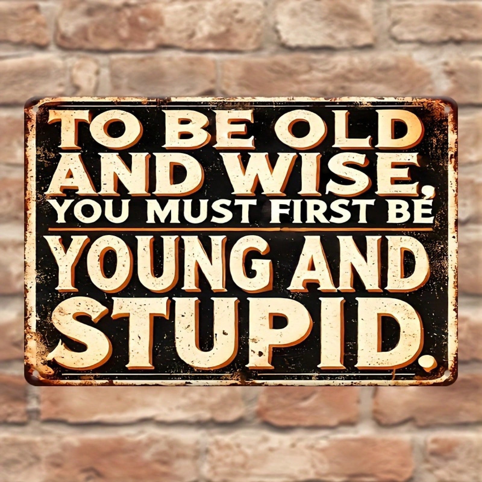 Funny Old and Wise Metal Tin Sign - Retro Humorous Sarcastic Man Cave Art