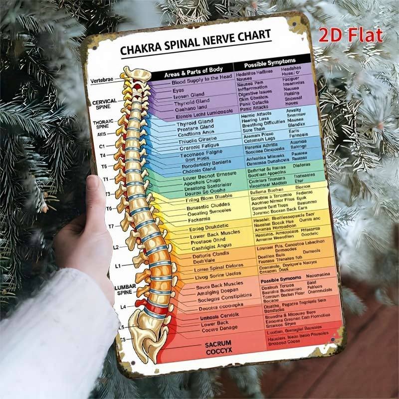 Chakra Spinal Nerve Chart Metal Sign - Educational Chiropractic Wall Decor Tin