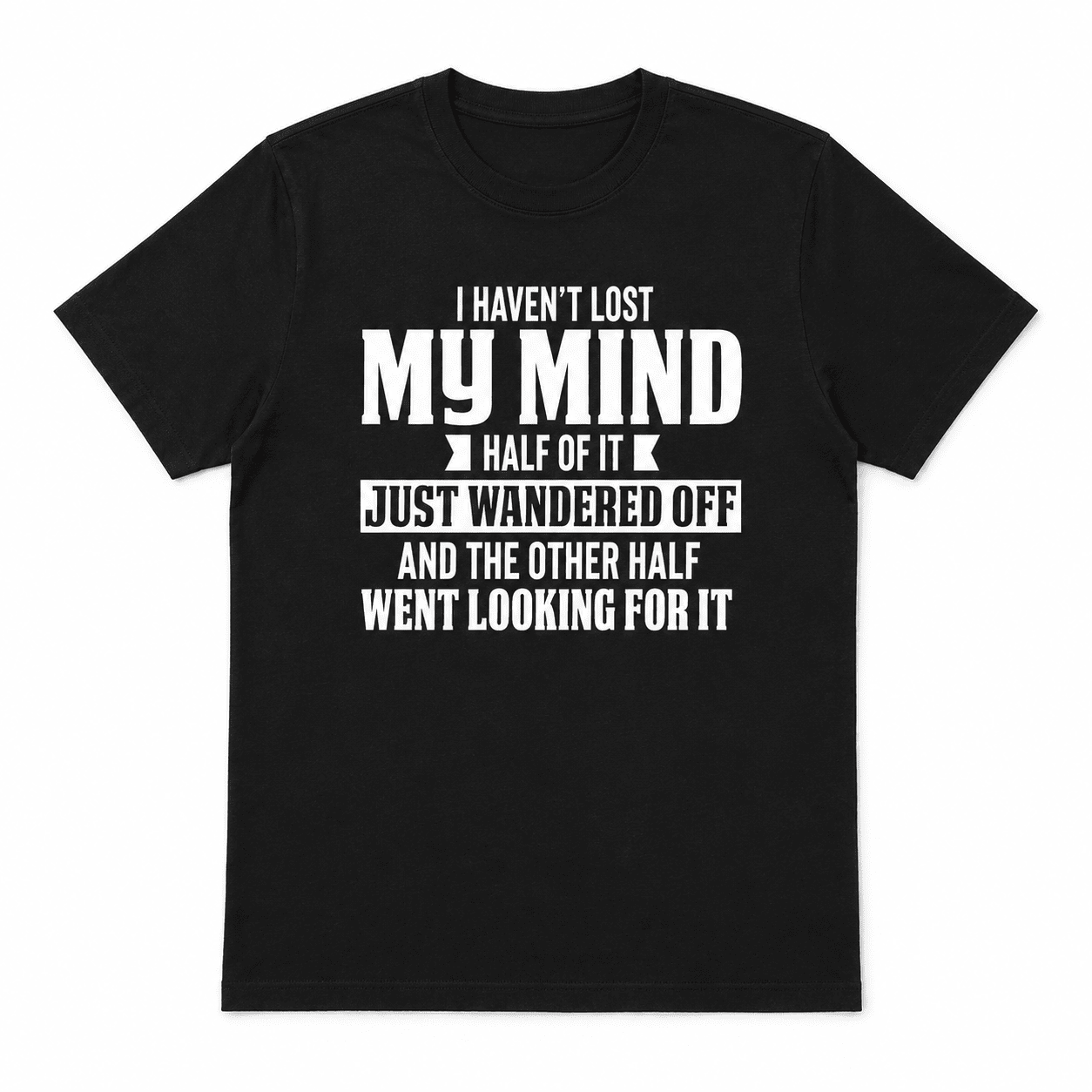 I Haven't Lost My Mind Funny Quote Graphic T-Shirt Humor Sarcastic Joke Tee