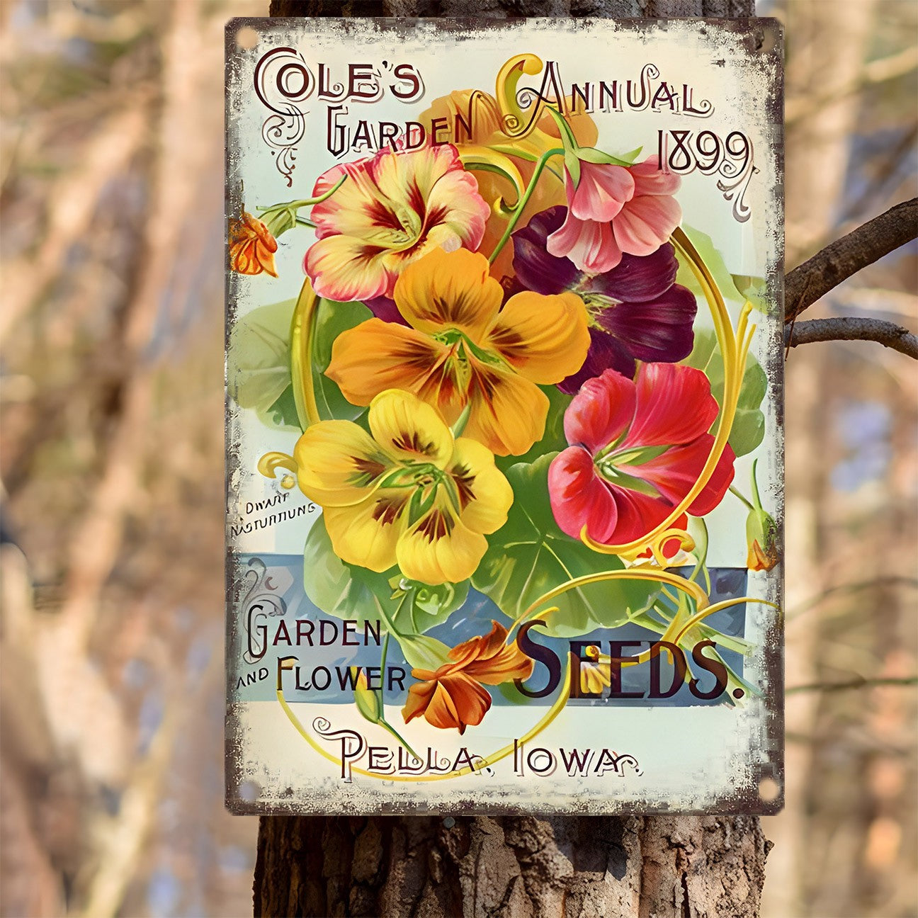 Vintage Garden Seeds Metal Sign Retro Nasturtium Flower Shabby Chic Wall Decor
