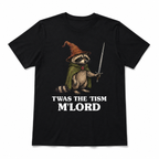 Funny Twas the Tism Lord Raccoon Wizard Meme Graphic T-Shirt for Men
