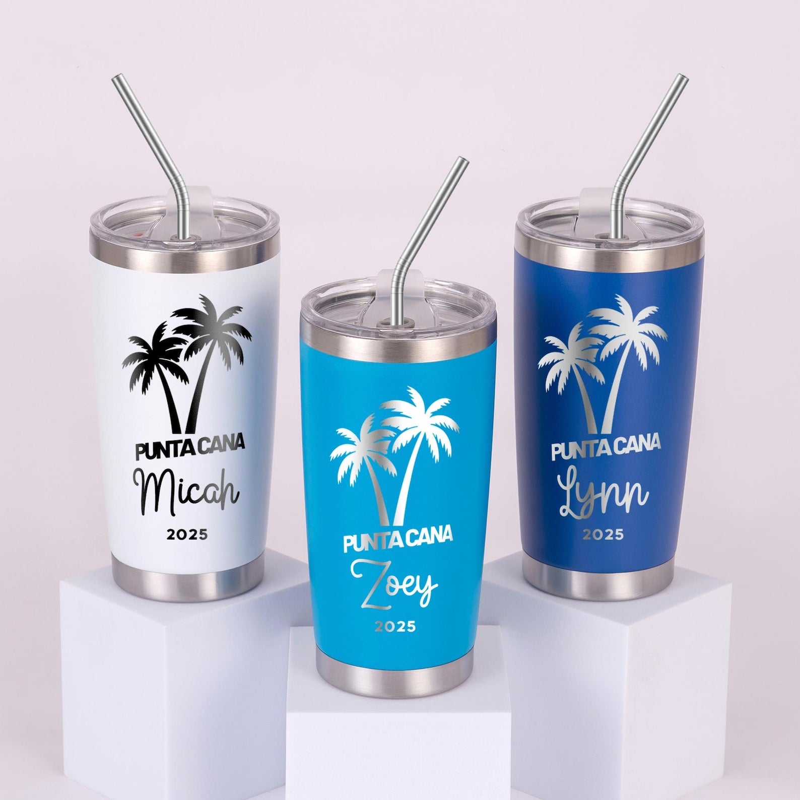 20OZ Stainless Steel Personalized Tumbler, Custom Travel Mug, Girls Trip Cup, Birthday Crew Trip, Employee Gifts Yanghong