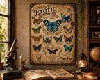 Exotic Butterfly Species Metal Sign, Vintage Entomology Wall Art, Natural History Insect Chart