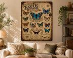 Exotic Butterfly Species Metal Sign, Vintage Entomology Wall Art, Natural History Insect Chart