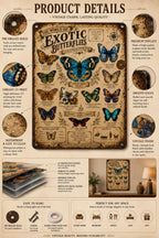 Exotic Butterfly Species Metal Sign, Vintage Entomology Wall Art, Natural History Insect Chart
