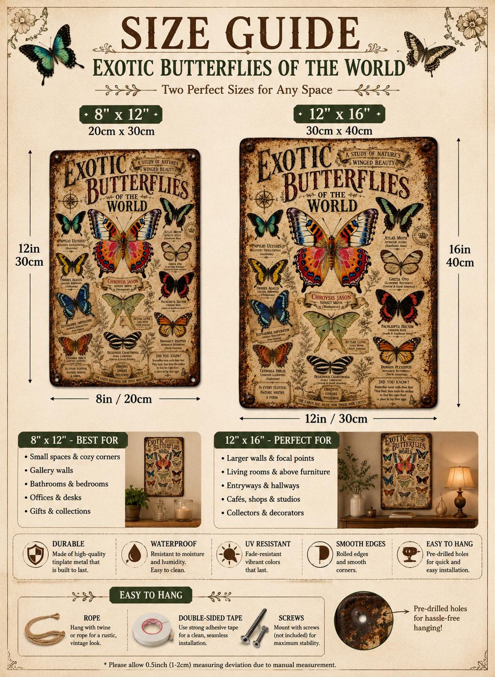 Vintage Exotic Butterflies Metal Sign, Antique Lepidoptera Chart Wall Decor